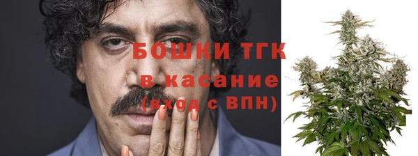 гидропоника Осинники