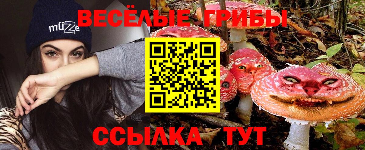 Псилоцибиновые грибы Psilocybine cubensis  Псилоцибиновые грибы ЛСД  Вход с VPN  Чебаркуль 