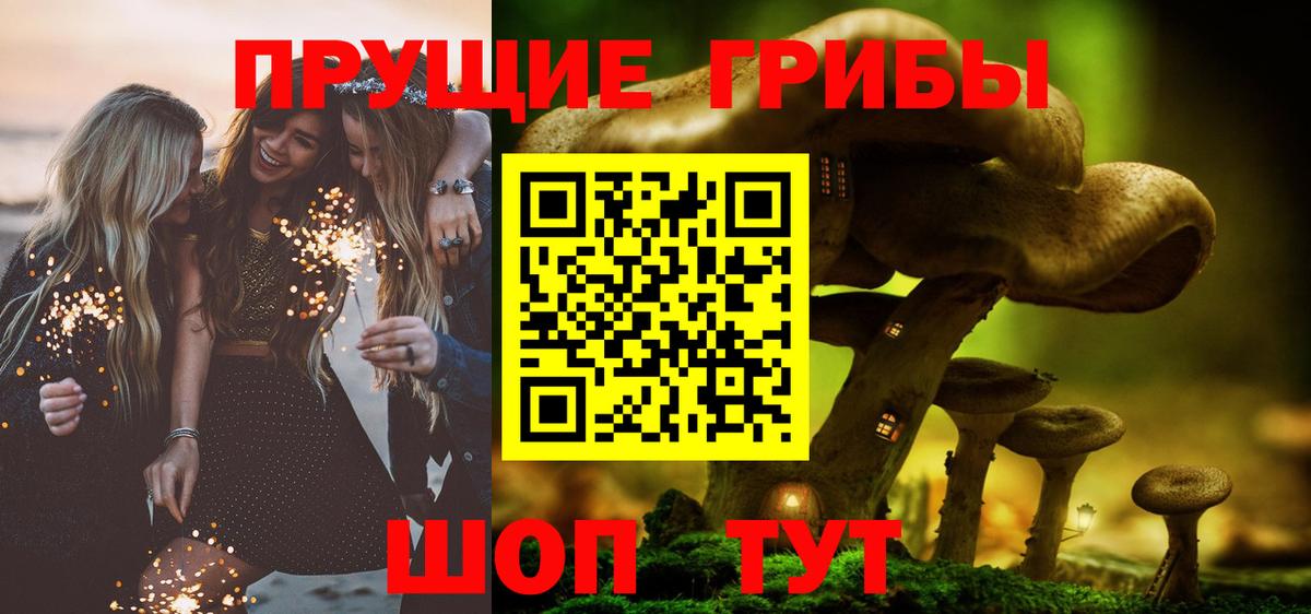 Псилоцибиновые грибы Psilocybine cubensis Чебаркуль